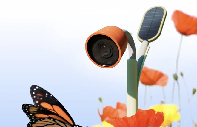 屏：解锁那些让人直呼 “哇塞” 的新奇科技！冰球突破技巧CES 2025 被 AI 霸(图1)